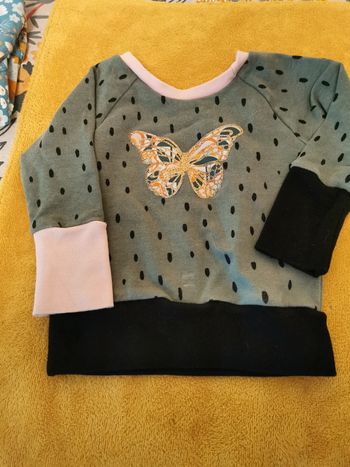 Pull un renard dans la lune