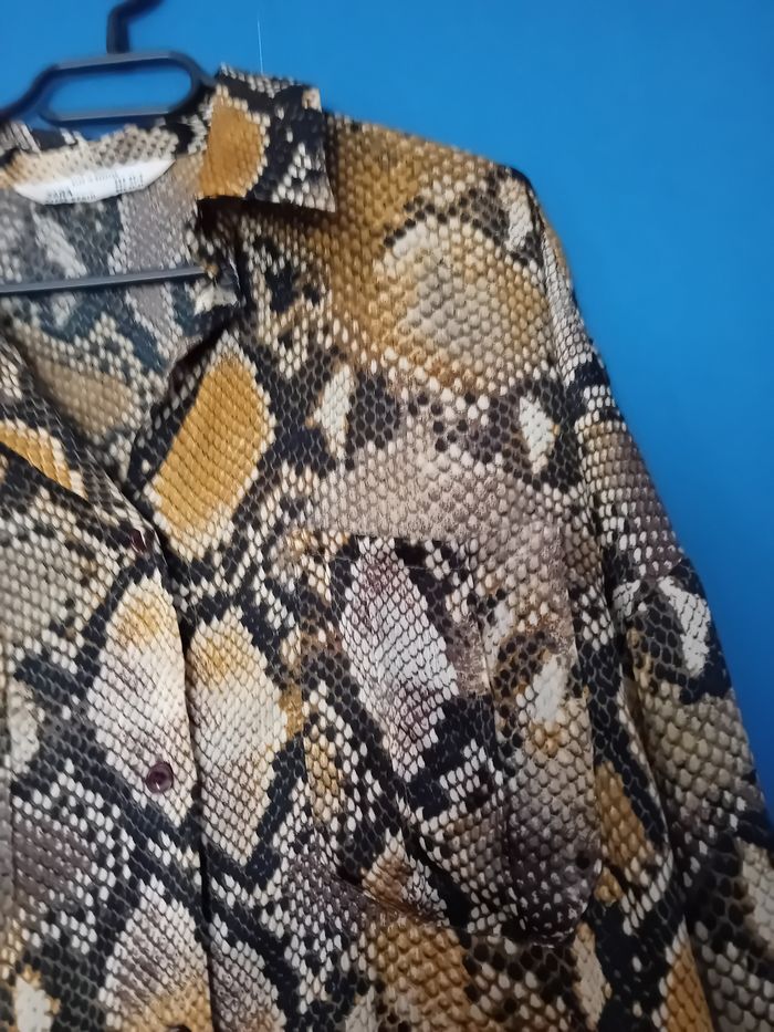 Chemise - photo numéro 2