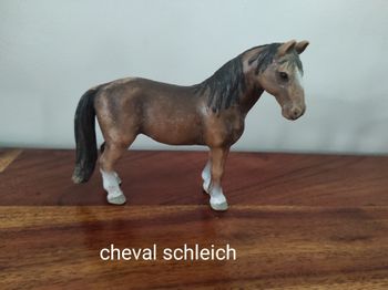 Cheval schleich