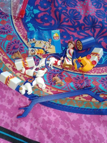 Playmobil 4237 complet sans la boîte 

Femme éducatrice,dresseuse de chiens