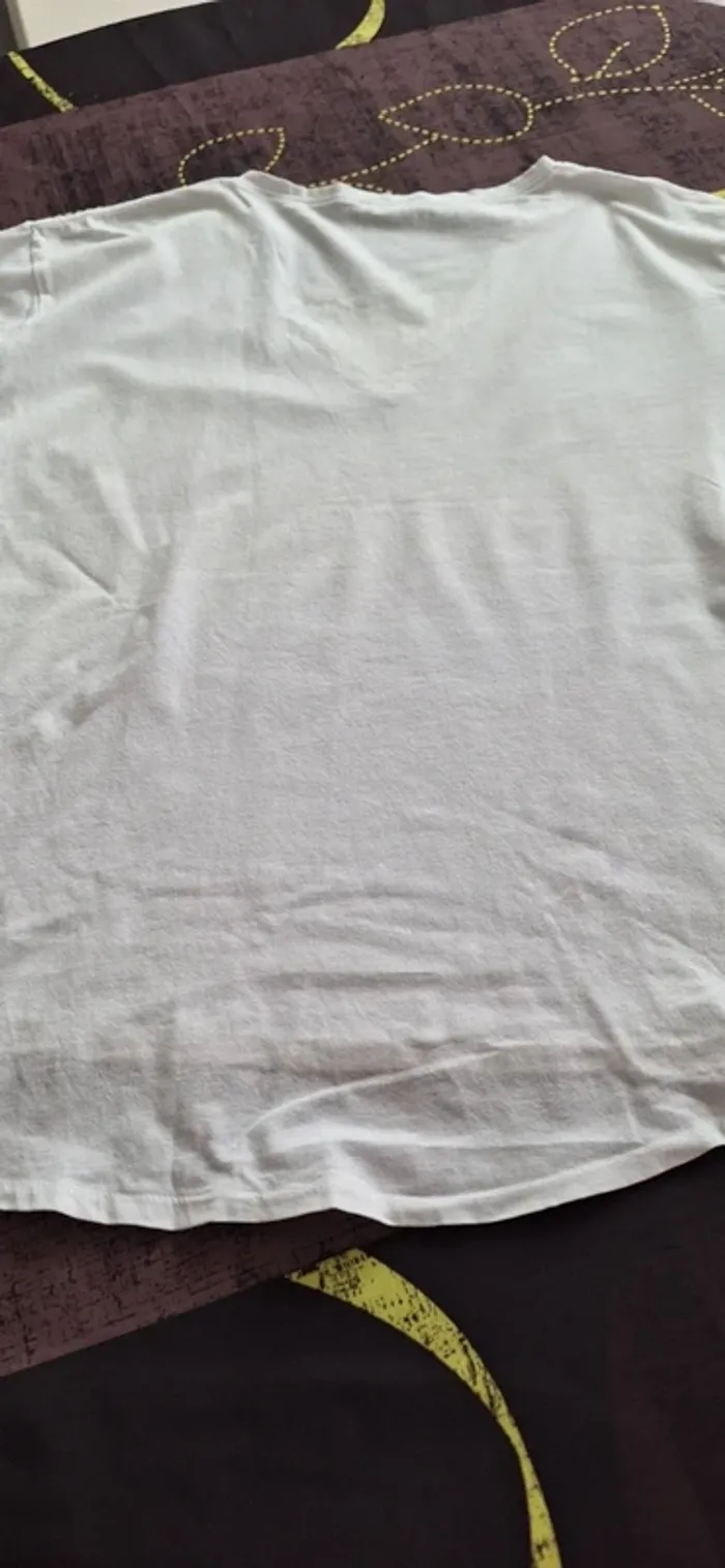 Tee shirt Zara - photo numéro 5