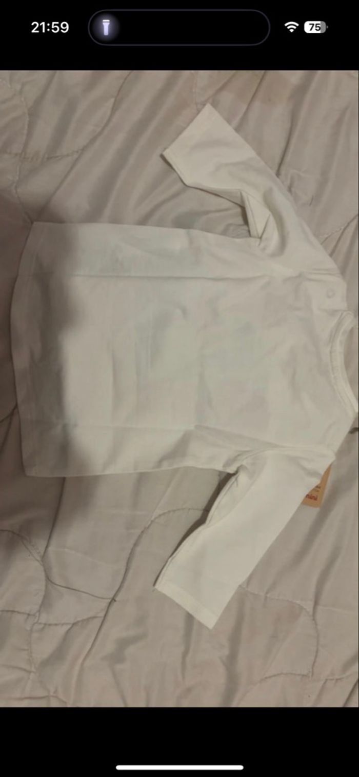 TEE shirt - photo numéro 2