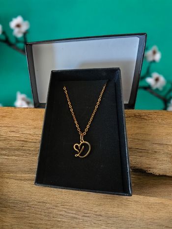 Pendentif acier inoxydable Lettre D prêt à offrir