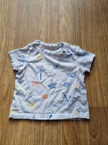 T-shirt bébé été - Motif tropical - Orchestra 18 mois