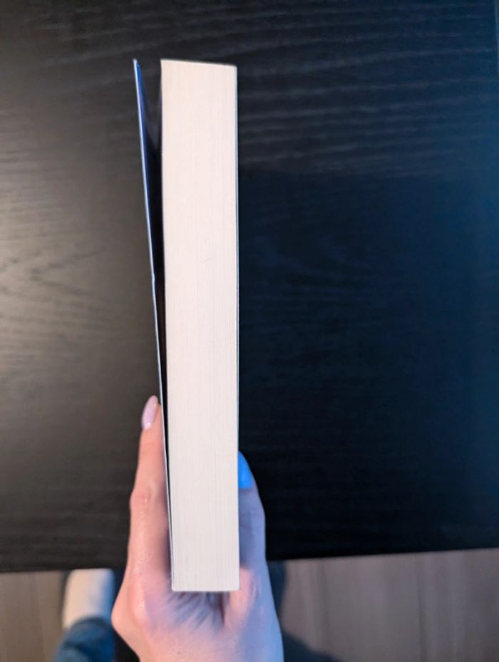 Will&Will - photo numéro 4