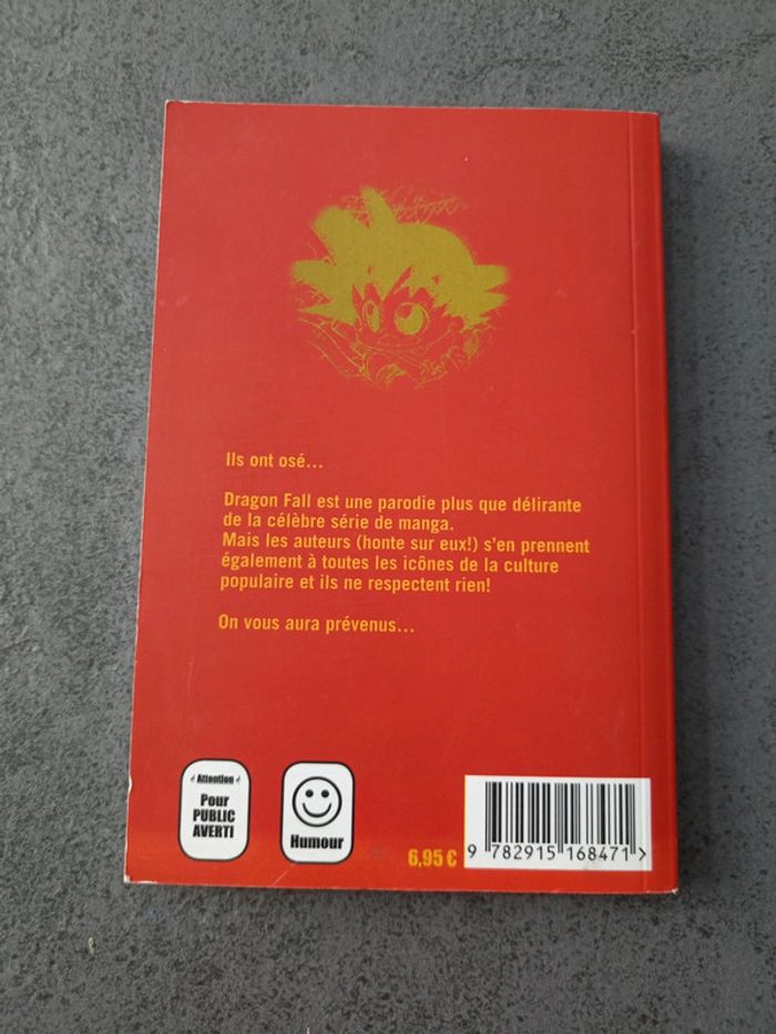 Dragon fall 4 - photo numéro 3