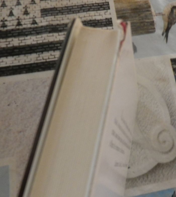 Journal d'Hannah de Louise L. Lambrichs Ed. France Loisirs - photo numéro 2