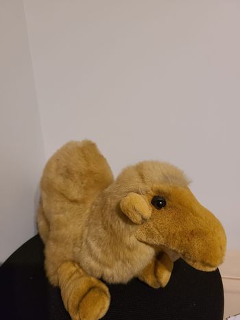 peluche chameau