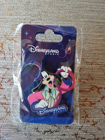 Pin's disneyland paris anniversaire 30 ans Goofy
