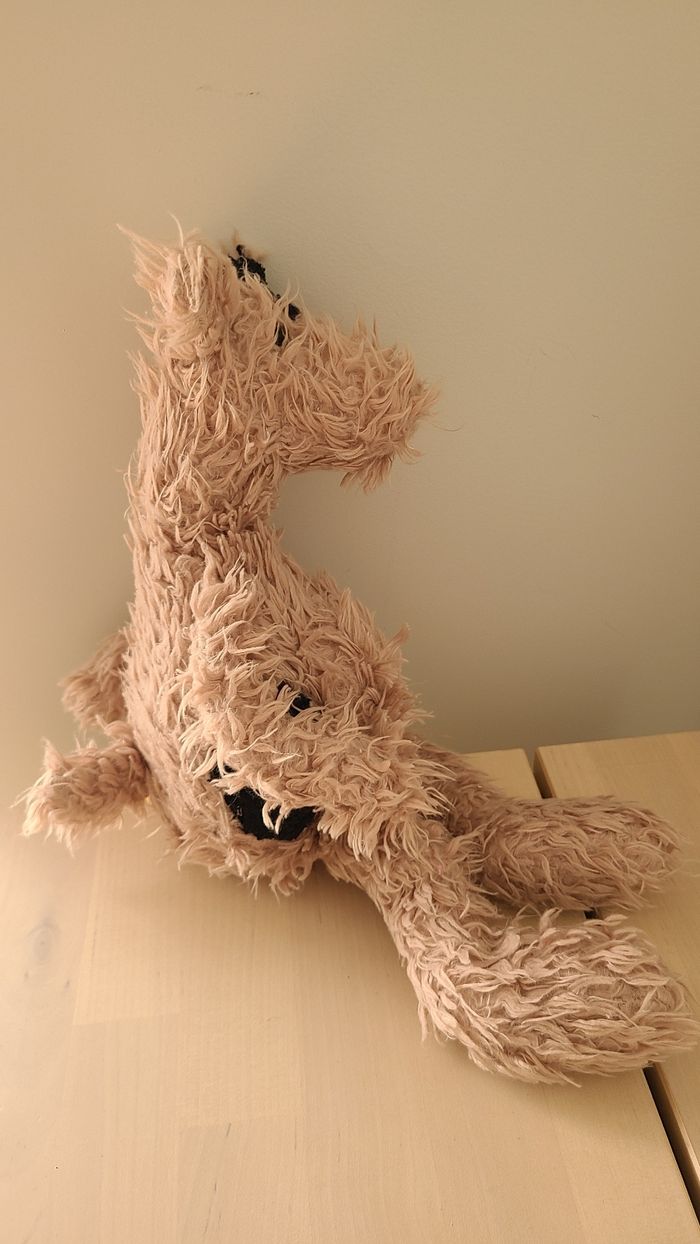 Doudou chien - photo numéro 4