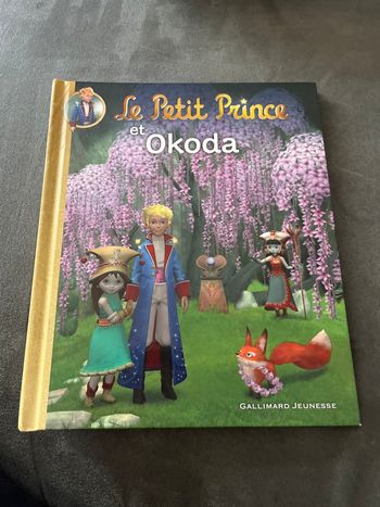 Livre le petit prince et okoda