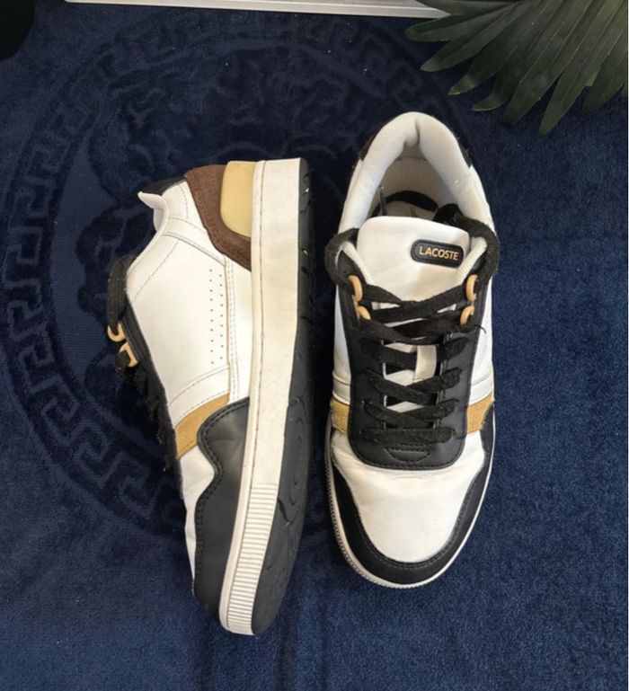 Basket Lacoste taille 37