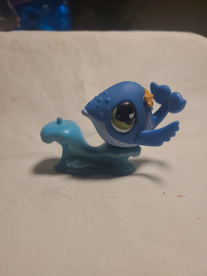 baleine petshop - photo numéro 4