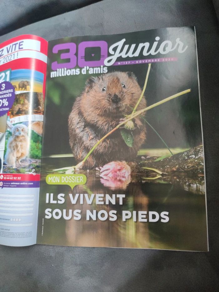 Magazine 30 millions d'amis numéro 389 novembre 2020 - photo numéro 7