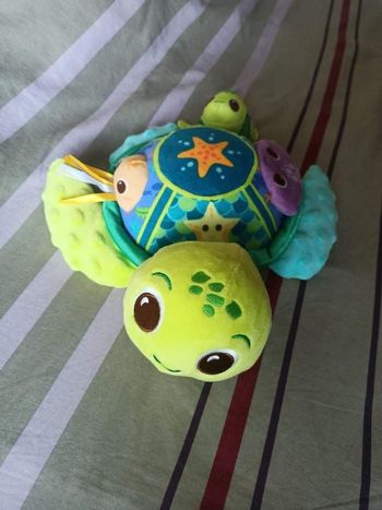 Juju maman tortue