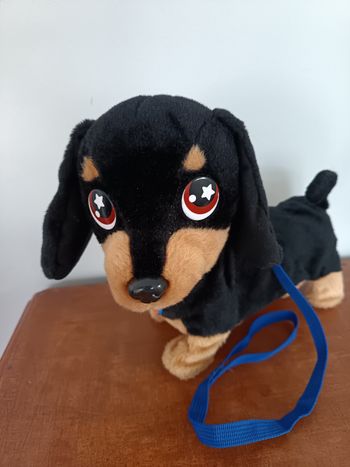 Waggles en balade Animagic-Chien