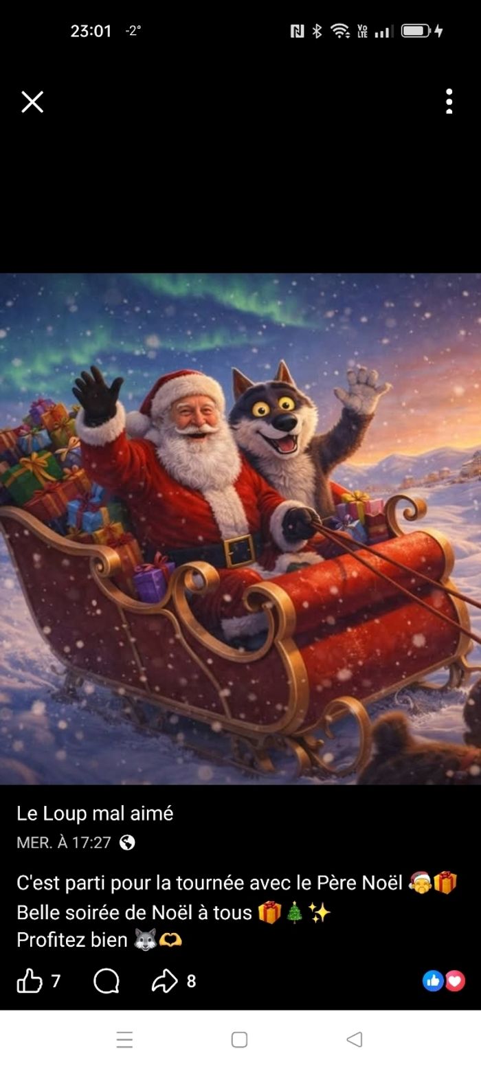 Cadre loup mal aimé