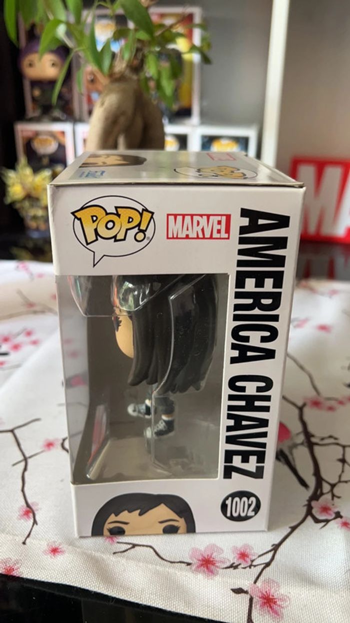 Pop America chavez - photo numéro 2