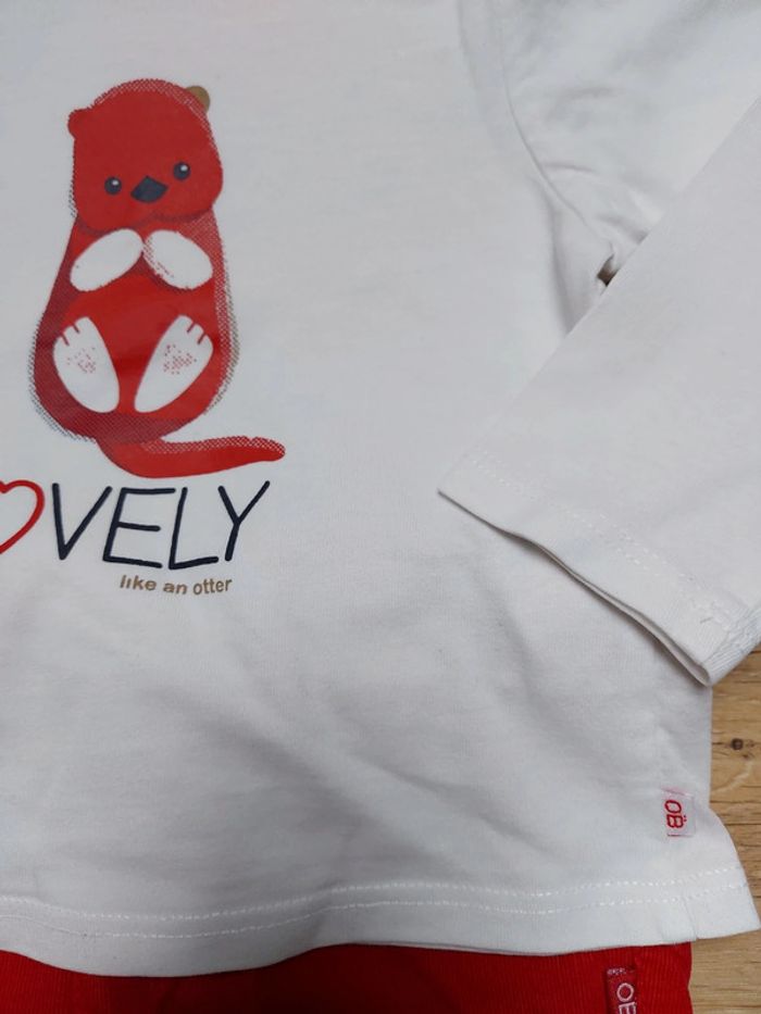 Pantalon et T-shirt manches longues assorti 12 mois - photo numéro 3