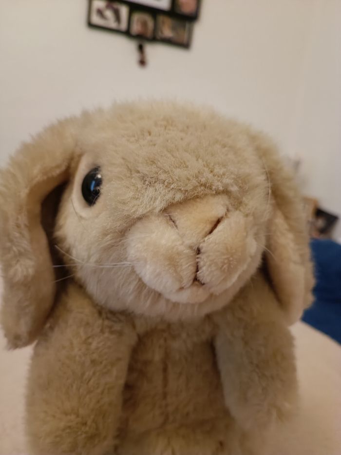 Peluche lapin debout