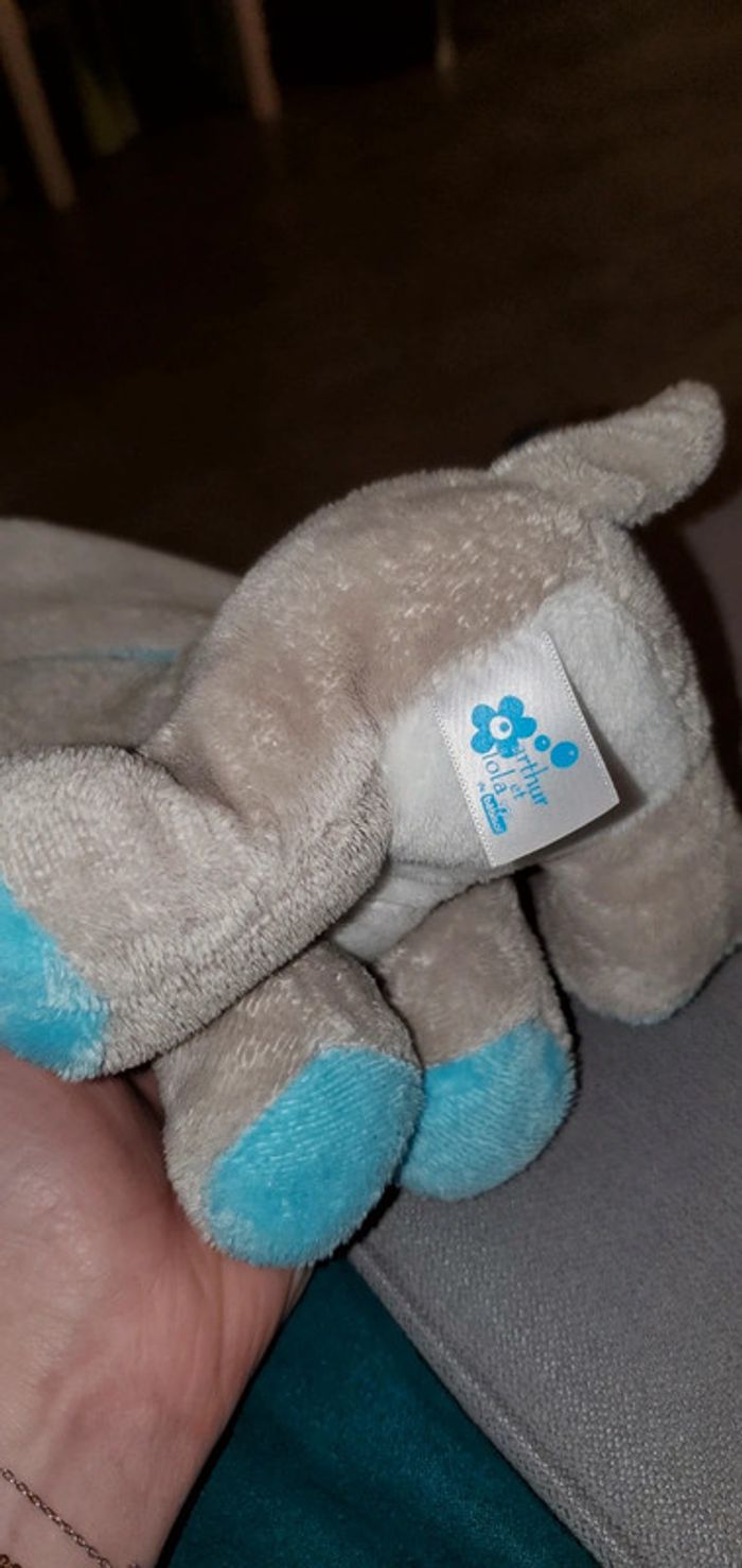 Lapin Arthur et lola - photo numéro 2