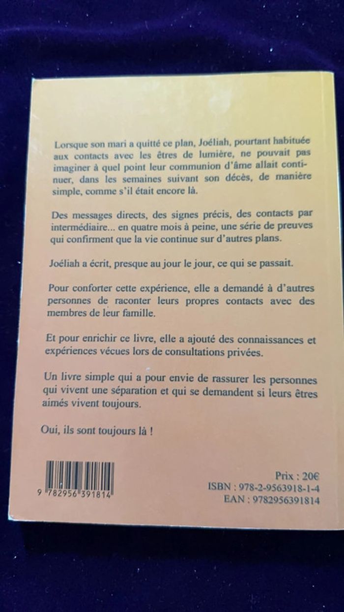 Je suis toujours là, oui la vie continue de Joélhia - photo numéro 2