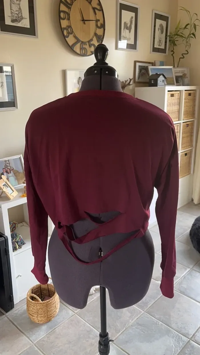 Petit pull - photo numéro 3