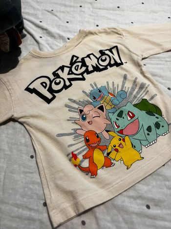 Sous pulls Pokémon