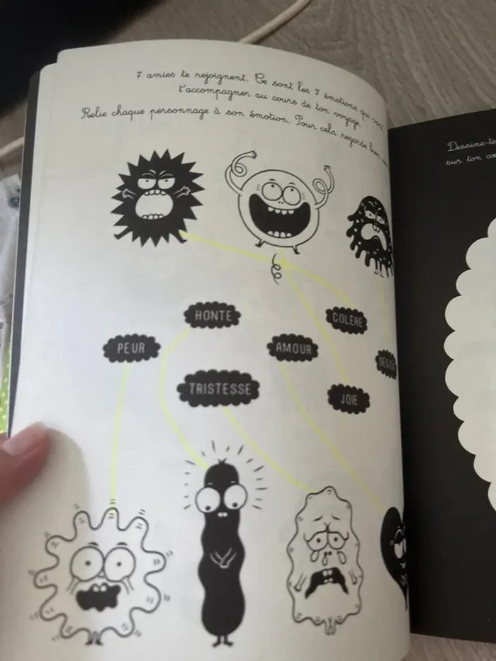 Mes émotions -les cahiers Filliozat - photo numéro 10