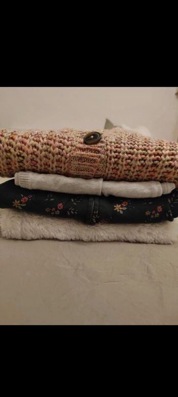 Lot vestes et gillet