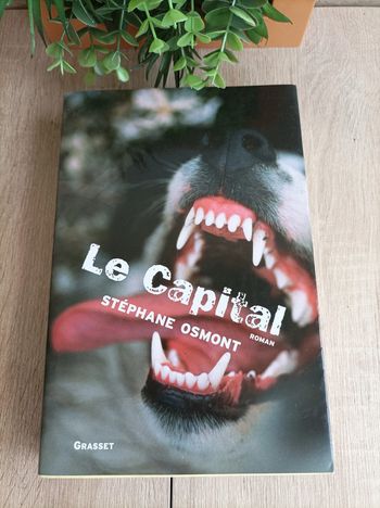 Livre le Capital