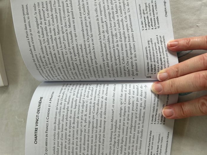 Candide ou l'optimisme - photo numéro 5