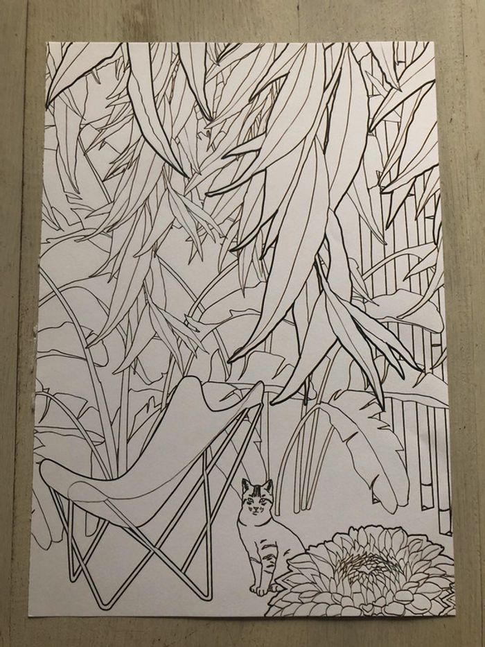 Lot de 10 coloriages neufs - photo numéro 9
