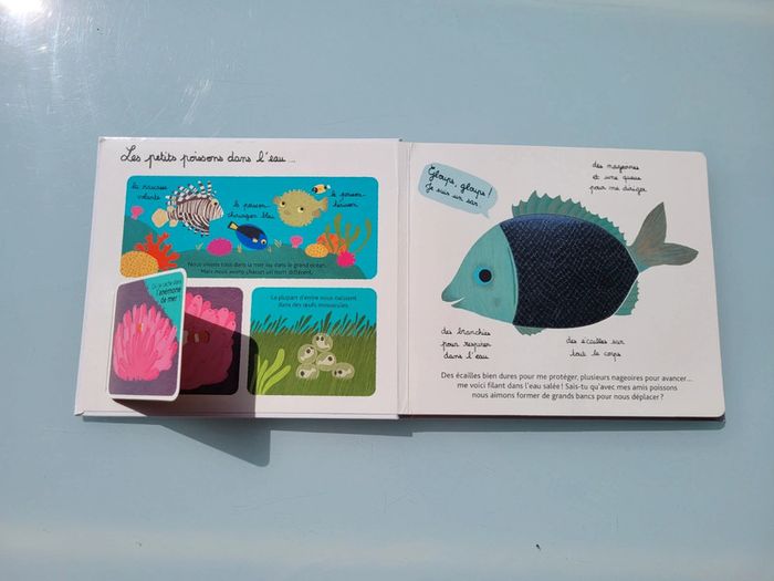 Beau livre animé 🦀 Mes animaux des mers 🐬 à toucher 🦐 Milan Jeunesse (72) - photo numéro 5
