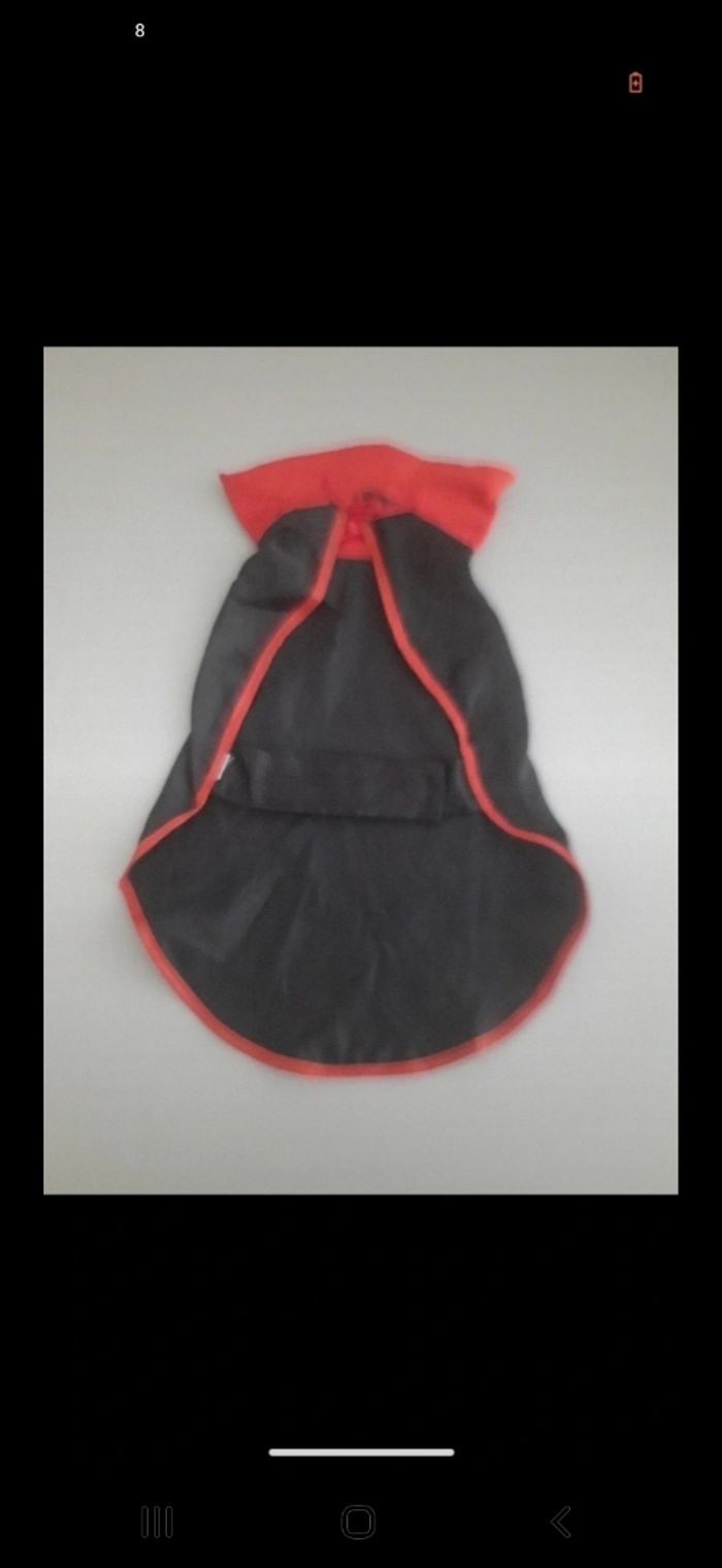 Cape vampire chien (B5)
