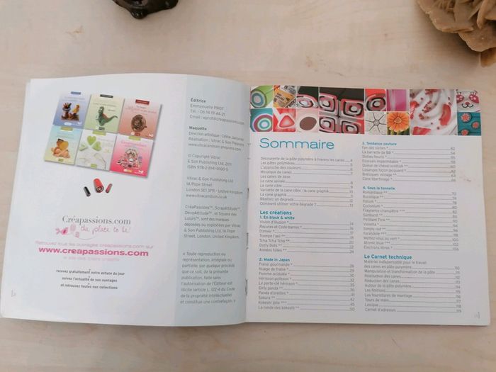 Livre pâte fimo - photo numéro 3