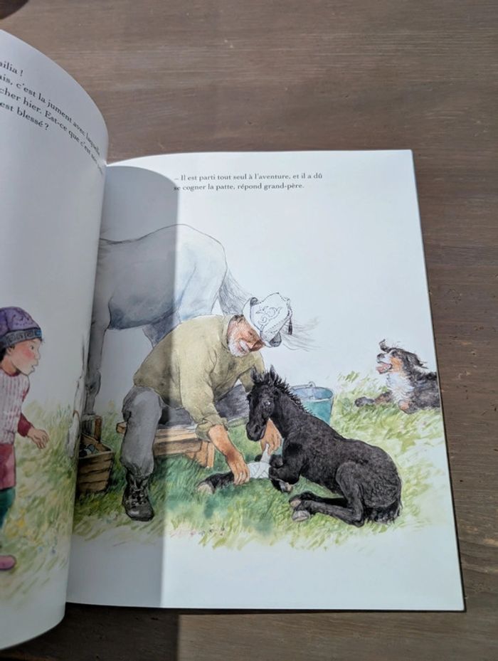 Mon petit cheval Mahabat - photo numéro 7