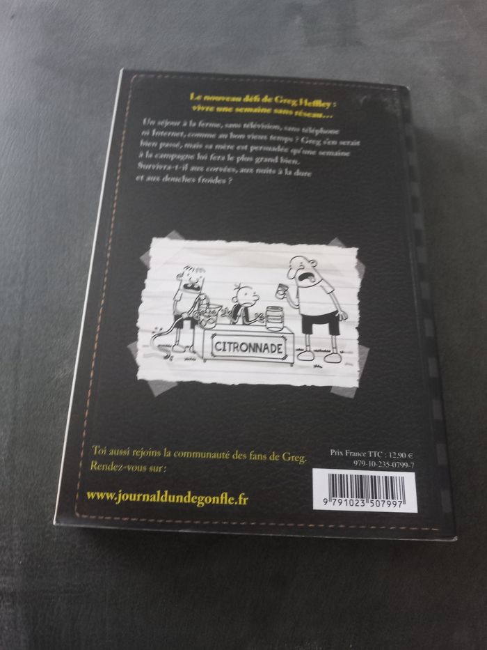 Livre journal d'un dégonflé tome 10 - photo numéro 2