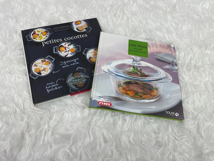 2 livres de recettes petites cocottes
