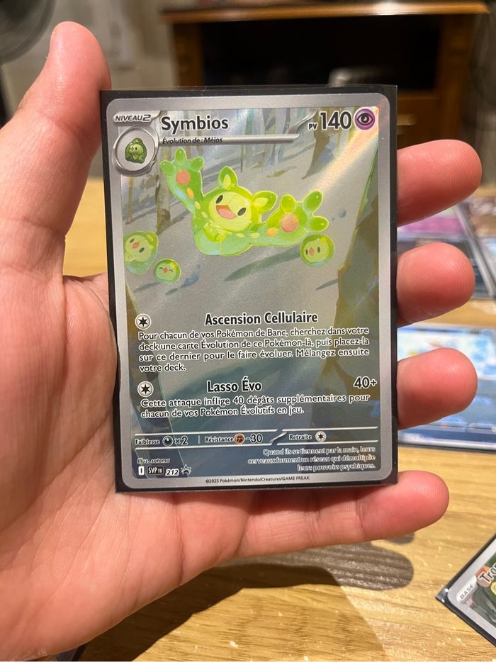 Symbios pokeball flamme blanche foudre noire svp 212