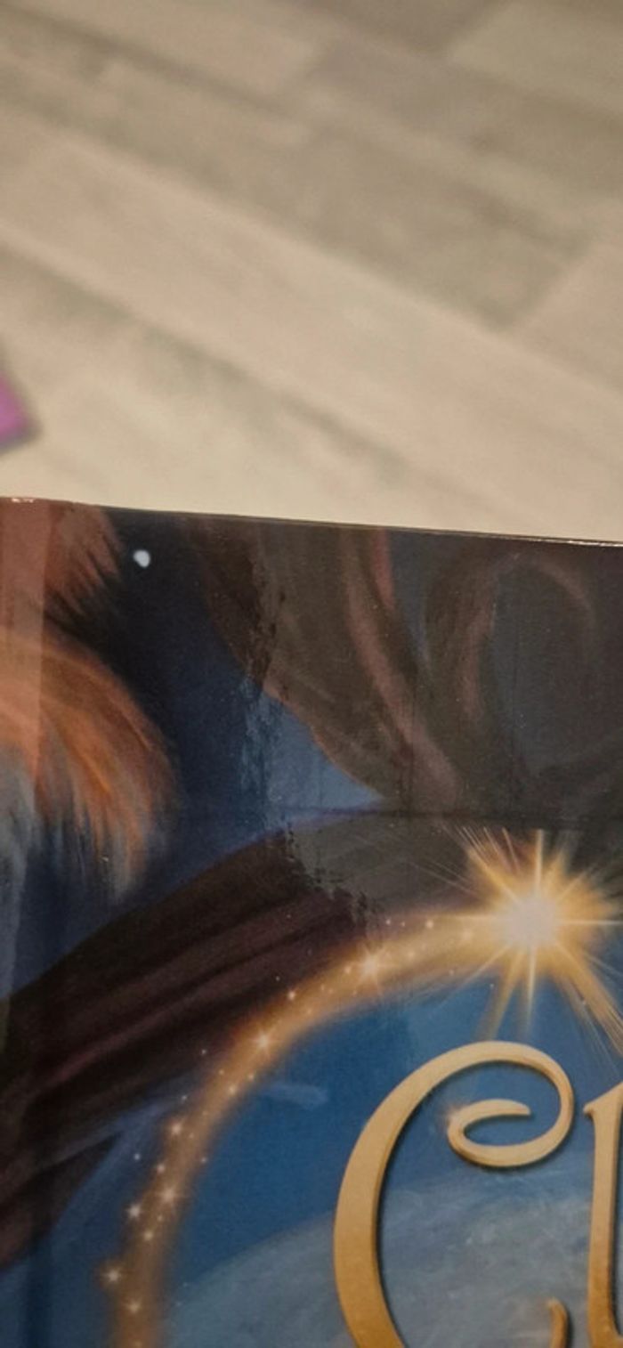 Lot de 4 livres La fée Clochette - photo numéro 6