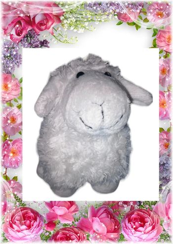 💫🌸Peluche 🌸💫