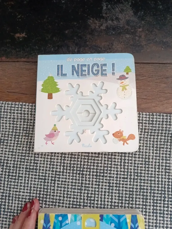 3 livres sur l'hiver - photo numéro 2