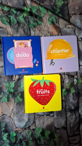 Lot 3 livres cartonnés collection Mon imagier animé gallimard jeunesse