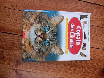 Livre : Copain des chats édition : Milan neuf
