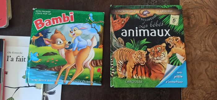 Livres pour enfant zou pirates bambi - photo numéro 8