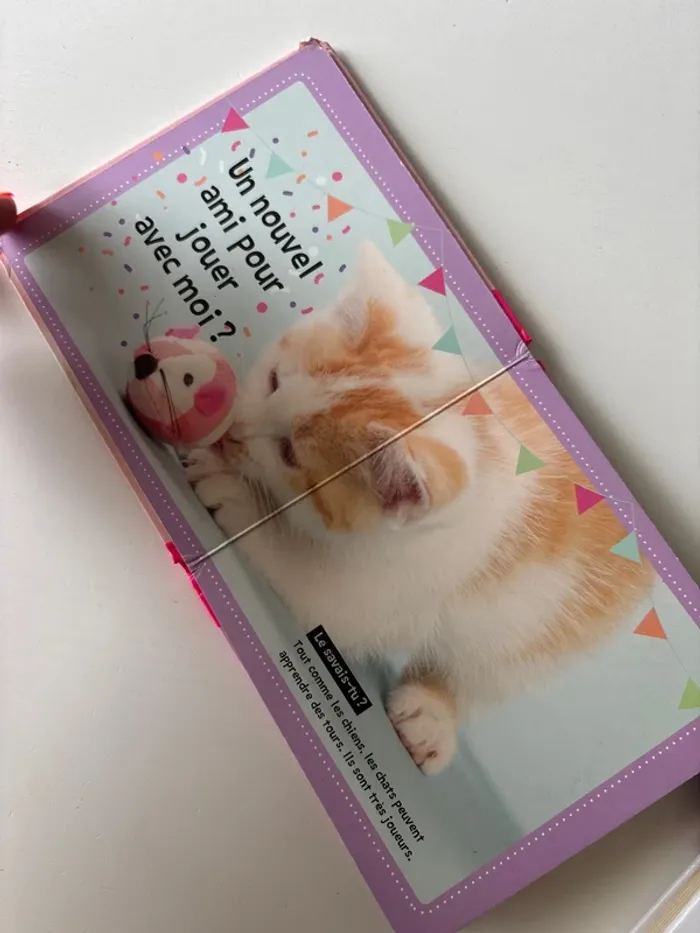 Livre, chats mignons - photo numéro 7