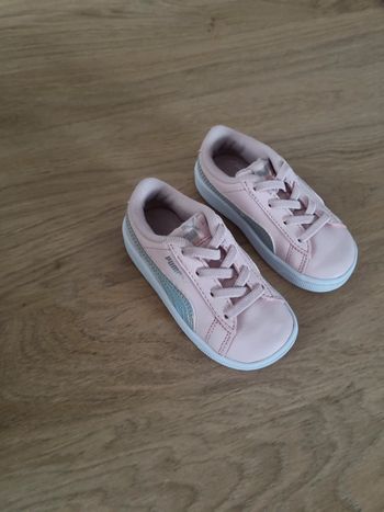 Basket puma