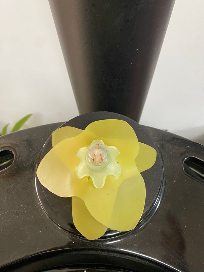 Flacon vaporisateur VIDE - PUPA – Narcise Flower Eau de Parfum 15 ml Orange Sahara Vintage - photo numéro 4