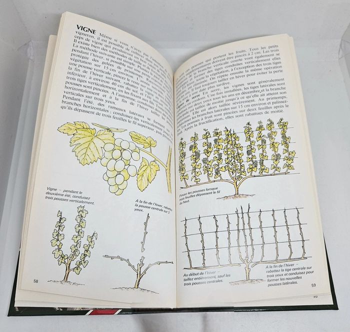 "Pour réussir la taille des plantes".
95 pages.
Gründ.
ISBN : 2.7000.6116.0 - photo numéro 5
